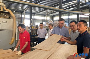 新材料技术研发赋能乡村振兴——调研组莅临我县实地考察